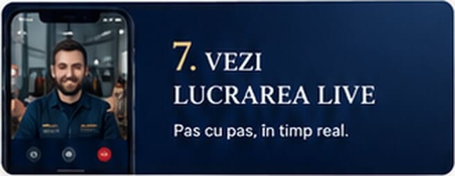 Vezi lucrarea live